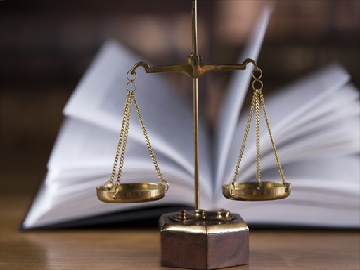 起诉索赔详细步骤及处理指南（2026版）